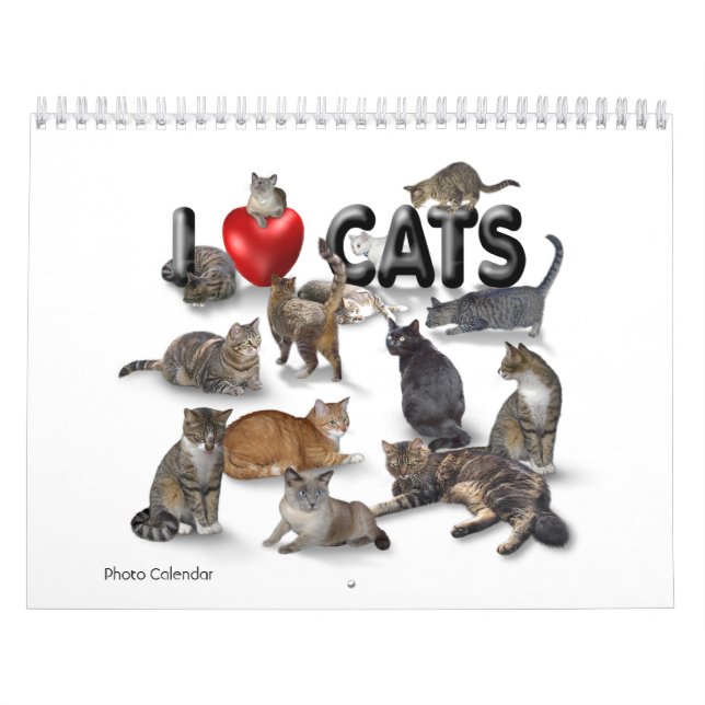 Eu adoro Gatos 😻 Calendário (Capa)