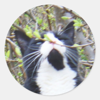 Eu adoro o cheiro do adesivo dos novos botões.