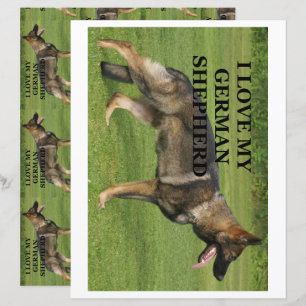 Eu adoro o meu papel de raspador de german shepher