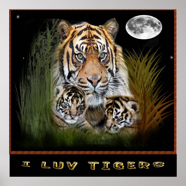 Eu adoro posters de tigres (Frente)