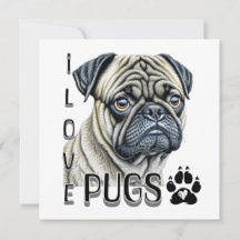 Eu Adoro Pugs | Proprietários De Cachorros Cortos