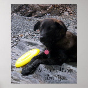 Eu amá-lo-ei sempre poster