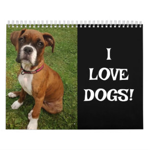 EU AMO CÃES   CALENDÁRIO
