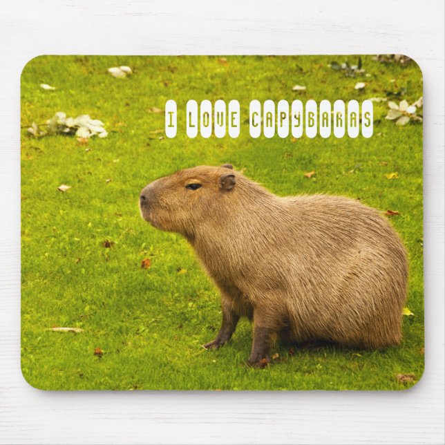 Eu amo Capybaras Mousepad (Frente)