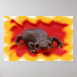 Eu amo impressões das belas artes dos Newts