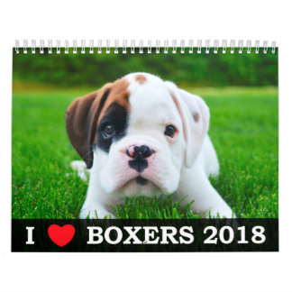 EU AMO MEU CALENDÁRIO DOS PUGILISTAS 2018