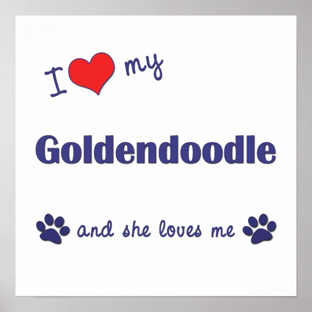 Eu Amo Meu Goldendoodle (Cachorro Feminino) Poster (Frente)