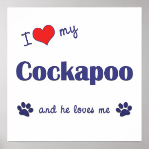 Eu amo meu impressão do poster de Cockapoo (cão