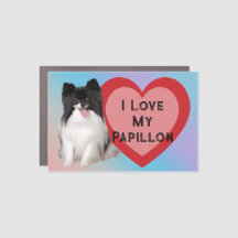 Eu Amo Meu Papillon