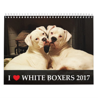 Eu amo o calendário branco dos pugilistas 2017
