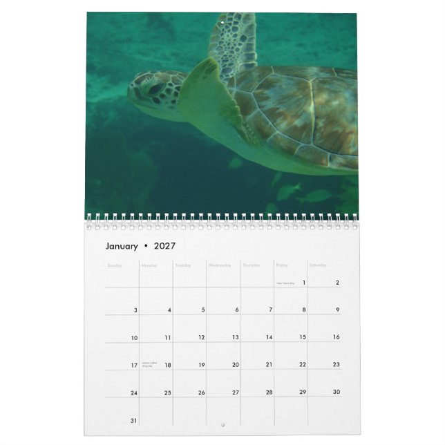 Eu amo o calendário das caraíbas (Jan 2027)