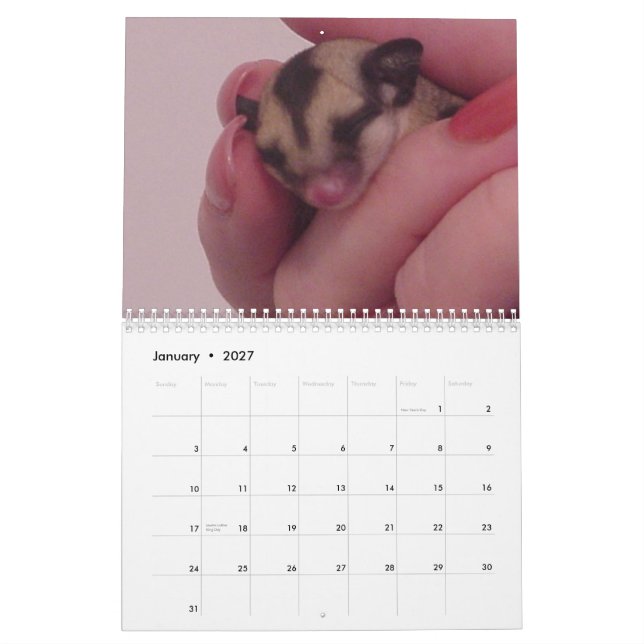 Eu amo o calendário dos planadores do açúcar (Jan 2027)