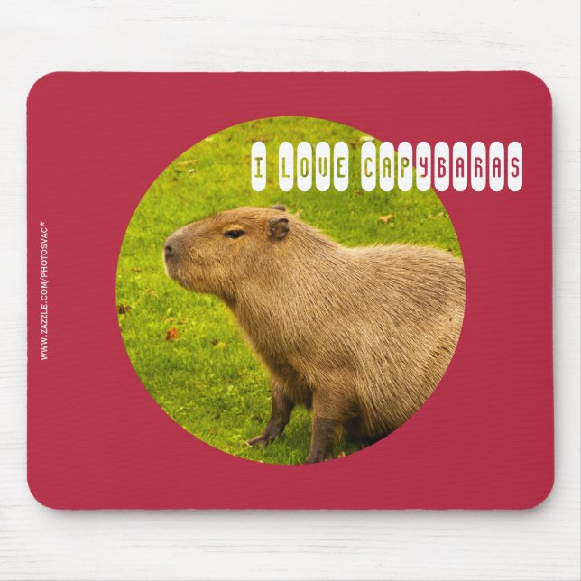 Eu amo o Mousepad de Capivaras (Frente)