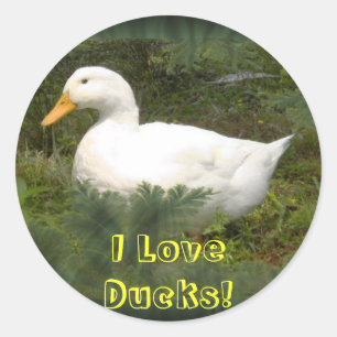Eu amo patos! Etiquetas