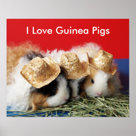 Eu amo Poster de porcos guineenses