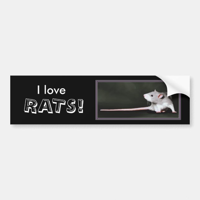 Eu amo RATS! - adesivo de para-choque de rato (Frente)