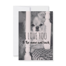 eu amo você até a lua e de volta