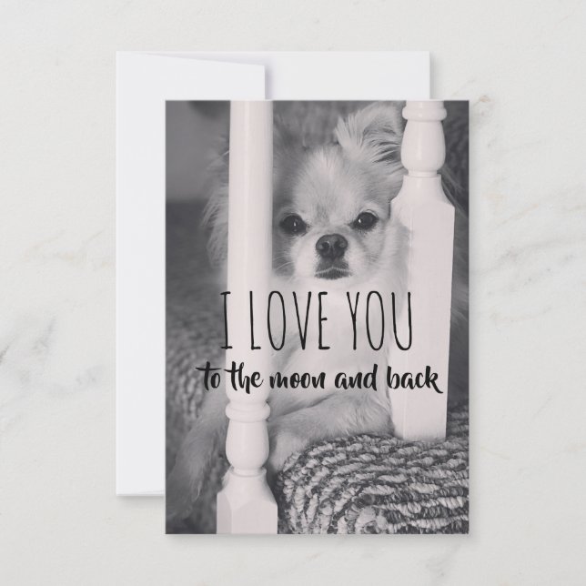 eu amo você até a lua e de volta (Frente)