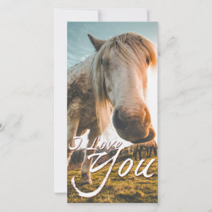 Eu amo você com cavalo olhando