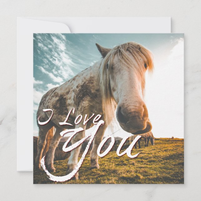 Eu amo você com cavalo olhando (Frente)