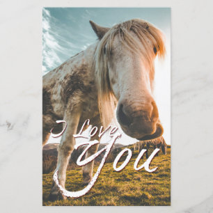 Eu amo você com cavalo olhando