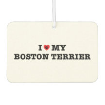 Eu Corto O Meu Ferreiro De Ar De Carro De Boston