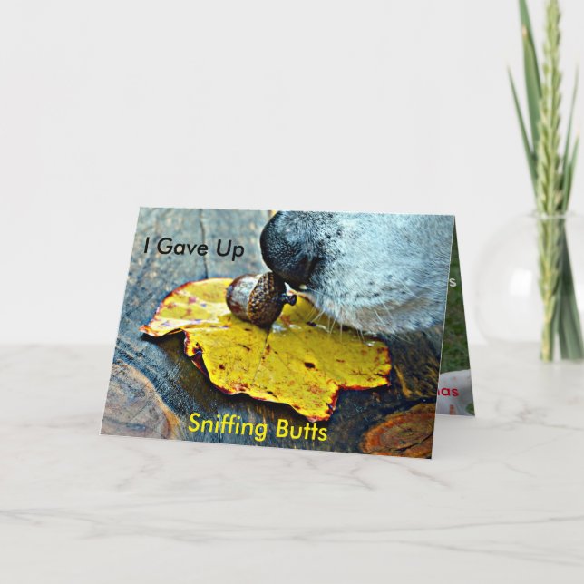 Eu dei o cartão de Natal dos bumbuns acima (Frente)