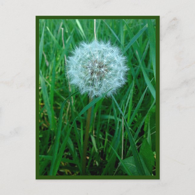 Eu desejo cartão postal (Frente)