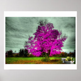 Eu Deus Joguei Dice com o Poster do Universo