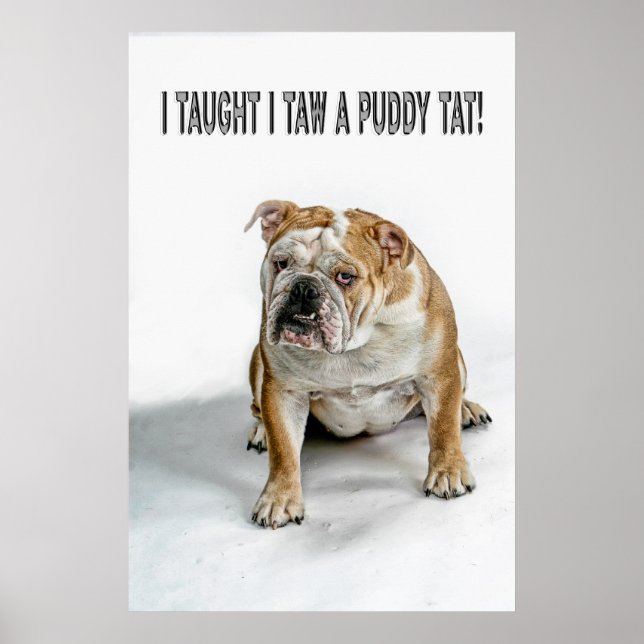 Eu ensinei que tomei um poster (Frente)