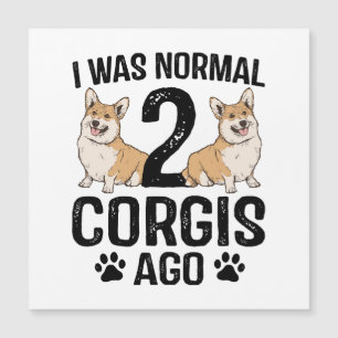 Eu Era Normal 2 Corgis Atrás Cachorro