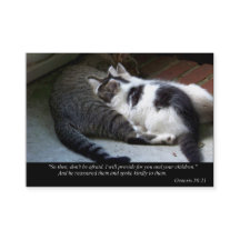 Eu fornecerei o negócio ou os cartões telefónicos