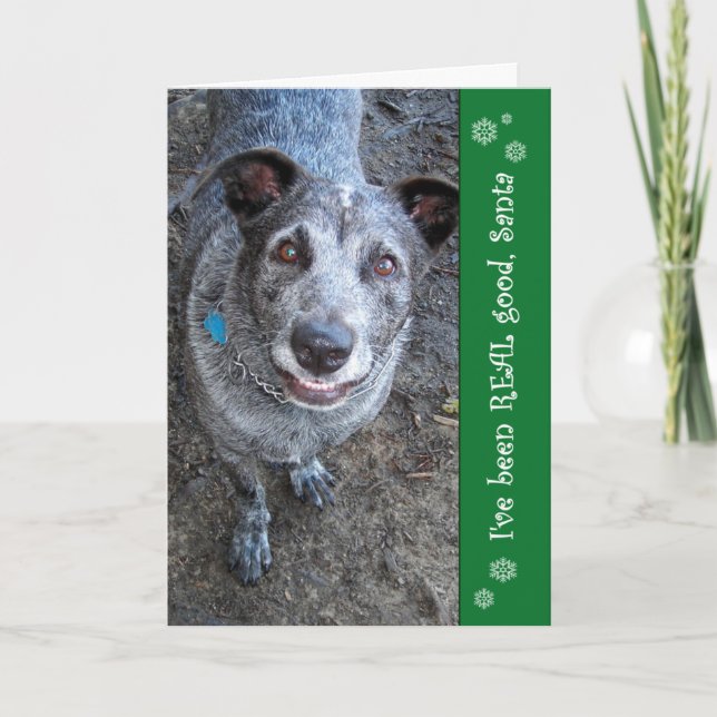 Eu fui bons cartões de Natal REAIS do papai noel | (Frente)