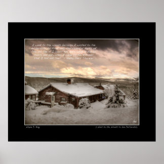Eu fui para a floresta, Thoreau Poster