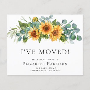 Eu Movi O Anúncio Movendo Eucalyptus De Girassol