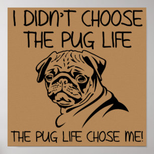 Eu Não Escolhi A Vida De Pug Placa De Poster Engra