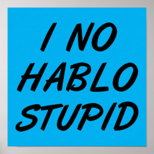 Eu Não Falo Idiota Placa de Poster Divertida