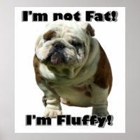 Eu não sou gordo poster de buldogue