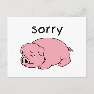Eu sinto muito por chorar fritando cartões de ming