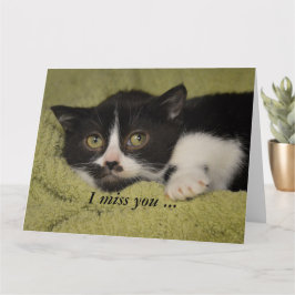 Eu Sinto Sua Falta, Tímido Cartão Tuxedo Kitten