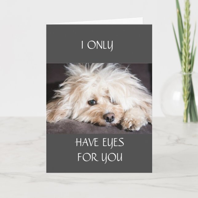 EU SÓ TENHO CARTÃO "OLHOS PARA VOCÊ" (Frente)