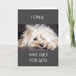 EU SÓ TENHO CARTÃO "OLHOS PARA VOCÊ"