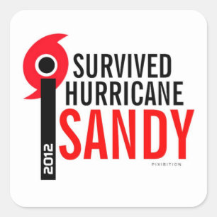 Eu sobrevivi à etiqueta 4 de Sandy do furacão