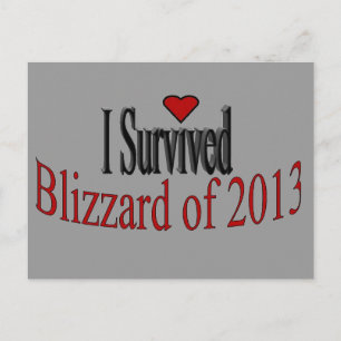 Eu Sobrevivi ao Cartão Postal de Blizzard 2013
