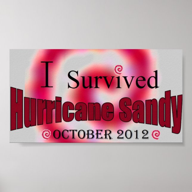 Eu Sobrevivi ao furacão Sandy Poster (Frente)