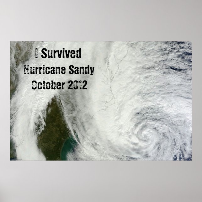 Eu Sobrevivi ao furacão Sandy Poster (Frente)