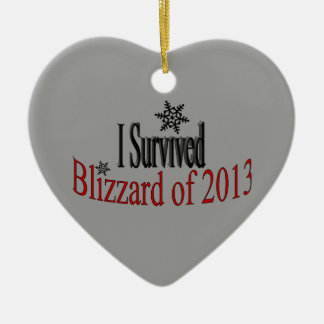 Eu sobrevivi ao ornamento do blizzard 2013