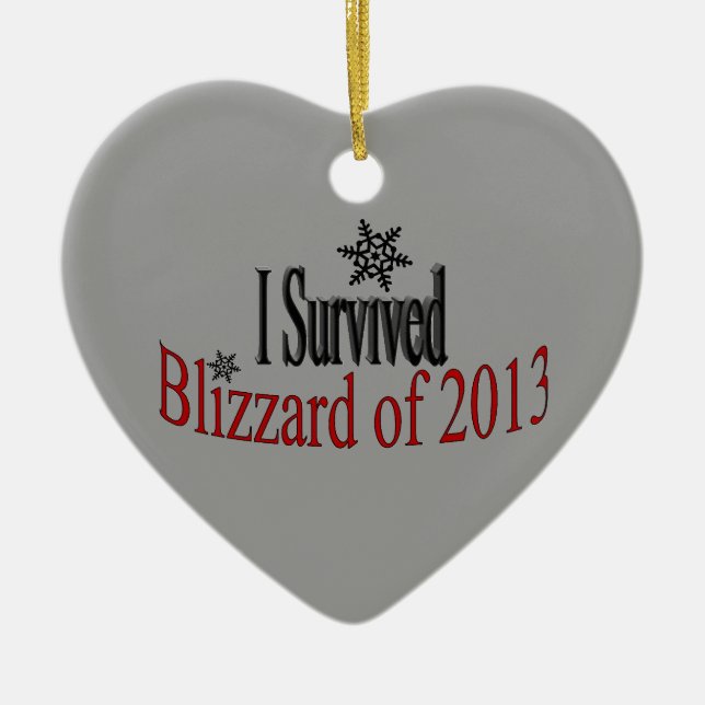 Eu sobrevivi ao ornamento do blizzard 2013 (Frente)