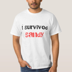 Eu sobrevivi ao t-shirt de Sandy
