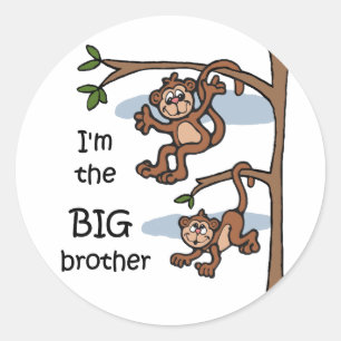 Eu sou as etiquetas do big brother